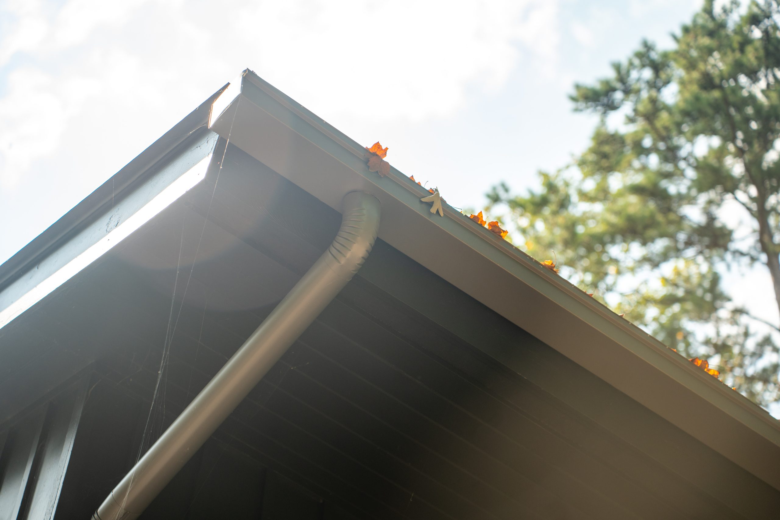 Autumn leaves collecting in a residential gutter along the roofline